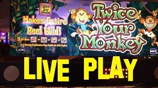 Twice Your Monkey Live Play 5 cent denom $5.00 max bet IGT Slot Machine