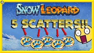 BIGGGGG !!! ULTRA RARE 5 SCATTERS on SNOW LEOPARD SLOT !!! •
