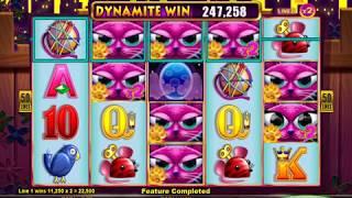 MISS KITTY GOLD Video Slot Casino Game with a FREE SPIN BONUS