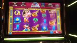 Adorned Peacock slot machine free spins