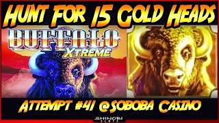 Hunt For 15 Gold Heads!  Episode #41 on Buffalo Xtreme Slot Machine at Soboba Casino