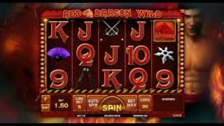 Red Dragon Wild•