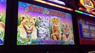 Cat Paws Slot Machine FREE SPINS BONUS FEATURE