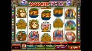 Karate Pig• - Onlinecasinos.best