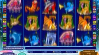 Dolphin Tale Slot   Freespin Feature   Big Win 125x Bet