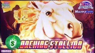++NEW Scorching Stallion slot machine