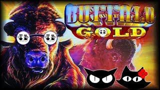 Buffalo Gold | Reel Riches | The Slot Cats