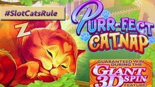 Volcanic Rock Fire • African Beat • Purr-fect Catnap • The Slot Cats •