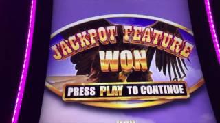 BUFFALO GRAND Slot Machine - How Often Can A Buffalo Retrigger ?