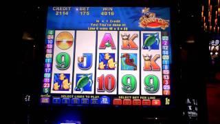 Banana King Bonus Win at Sands Casino at Bethlehem