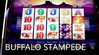 Wonder 4 - ***BIG BONUS WIN*** BUFFALO FREE GAMES