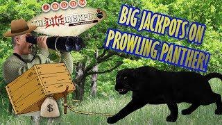 • Big Jackpots on Prowling Panther •