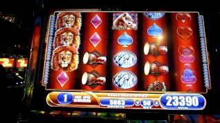 King Of Africa Big Win!!  Huge 500x!!  (WMS Gaming)