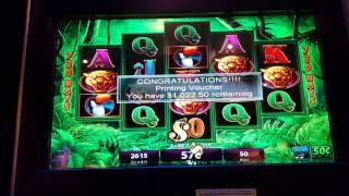 Prowling Panther $25 Spin Live Play - Bonus & Nice Line Hit