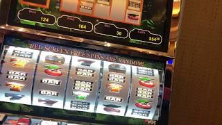 WILD TIGER, RUBY RED 2, SITTIN' PRETTY SLOTS !!! RED SCREENS !!! VGT LIVE PLAY !!!!