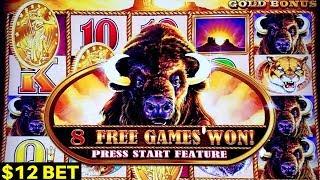 Buffalo Gold Slot Machine - BIG WIN w/$12 Bet Bonus | Chasing Bonus on Wild Fury Slot Machine