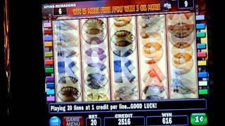 Mystical Princess Slot Machine Bonus Win (queenslots)
