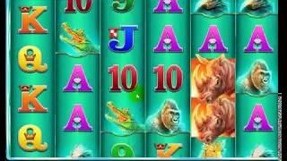 Must See Insane Slot Hits! £100 into £1000's in 2 Hours! Dunover wins!