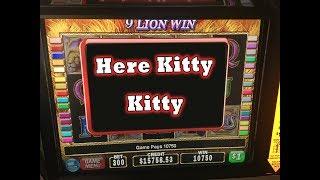 Cats IGT $600 a spin!  Can we get lucky? • Slots N-Stuff