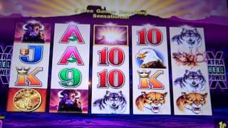 Buffalo Slot Bonus: MAX BET. a good win