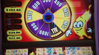 Hot Hot 8 Slot Machine Zeus  and  Wild Panda Bonus Win Wonder 4 Slot