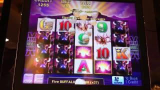 Aristocrat Buffalo Slot Machine Win - Parx Casino - Bensalem, PA