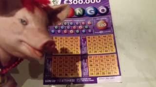 WIN..Scratchcard PURPLE BINGO with Bonus..and 10x Cash with Moaning Pig