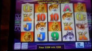 Buffalo slot machine bonus win