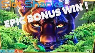 Prowling Panther • HUGE Bonus Win • !  - Plus Bonus Wild Bear Paws Wins !