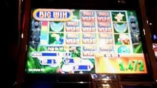Jungle Wild 2 5c slot bonus - BIG WIN!