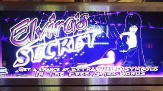 LIVE ELVIRA BONUS & INCREDIBLE RUN OF HITS!!