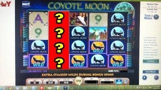 PLAYOLG.CA - Wild Huskies And Coyote Moon!  Huge Line Hit!