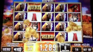 The Herd Slot Machine Free Bonus Spin