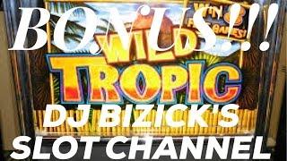 Wild Tropic Slot Machine ~ FREE SPIN BONUS! ~ STICKY WILDS! ~ OK WIN! • DJ BIZICK'S SLOT CHANNEL