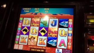 Outback Jack Slot Max Bet Live Play