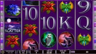 Panther Moon slot game - 1,790 win!