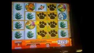Tiger's realm slot machine bonus