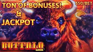 NEW SLOT ⋆ Slots ⋆️ HIGH LIMIT Buffalo Link HANDPAY JACKPOT ~ $50 Bonus Round Slot Machine Casino
