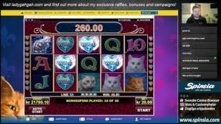 Diamond Cats Big Win - Retrigger - Amatic