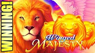 WINGED MAJESTY ⋆ Slots ⋆ WOW! A SUPER RARE SLOT!? NICE WIN! Slot Machine (AGS)