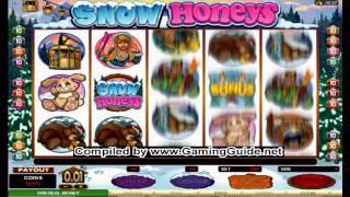 All Slots Casino Snow Honeys Video Slots