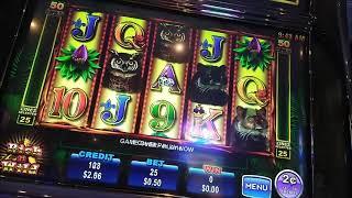 rich n wild +88 fortunes simple live play