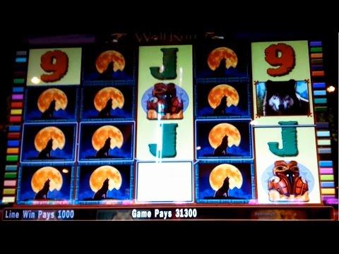 Wolf Run Slot Machine $8 Max Bet *LIVE PLAY* Bonus and BIG WIN! (2 videos)