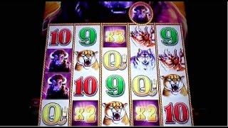 BIG WIN!!!... "Buffalo Stampede Slot Machine"...