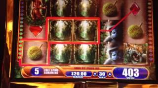 Queen Of The Wild Slot Machine Free Spin Bonus Games