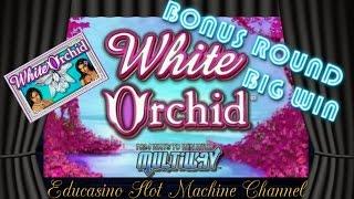 •WHITE ORCHID•BONUS ROUND•BIG WIN•BY IGT