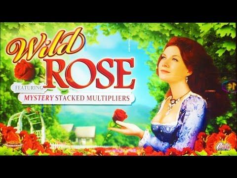 ++NEW Wild Rose slot machine, DBG