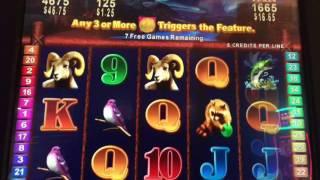 Golden Bear Slot Machine ~ FREE SPIN BONUS! ~ THURSDAY THROWBACK! ~ BAY MILLS CASINO! • DJ BIZICK'S 