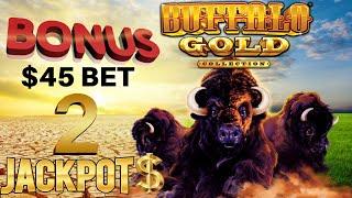 ★ Slots ★️ Buffalo Gold (2) JACKPOT HANDPAYS  ★ Slots ★️HIGH LIMIT $45 SPIN BONUS ROUND Slot Machine