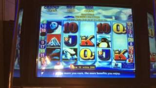 Penguin Pays - Bonus - $2 Bet. I had been betting $5 the whole time right